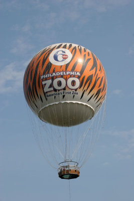 Action News Zoo Balloon (3)