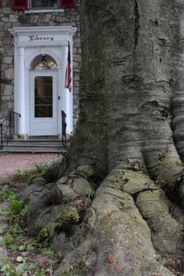 Downingtown Library (129)