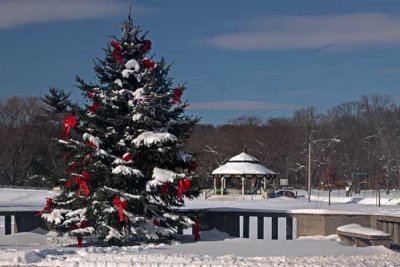 Borough's Christmas Tree - Kerr Park View (37)