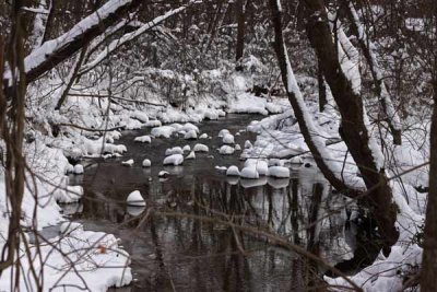 Winter Scene on a Branch of the Brandywine