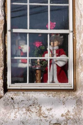 A Christmas & Geranium Window