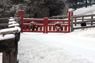 Holiday Fence Gate 2