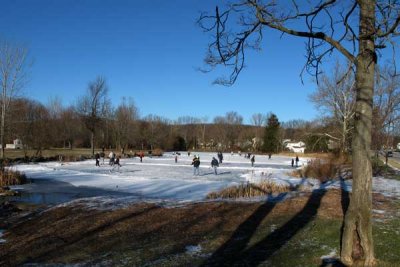 Duck Pond Skating 2010 (115)