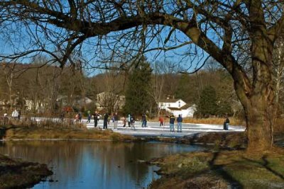 Duck Pond Skating 2010 (111)