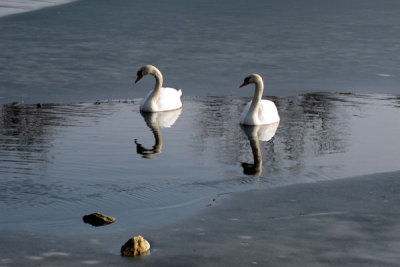 Floating Near Ice