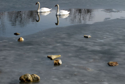 When Will It Thaw?