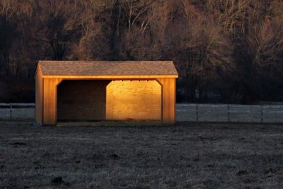 Sunset Stable