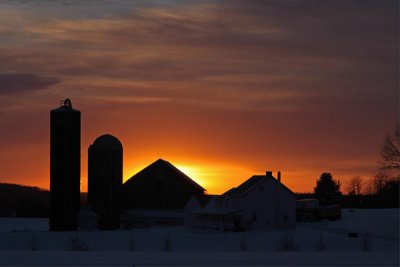 Winter Sunset on the Farm (42)