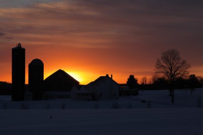 Winter Sunset on the Farm (52)