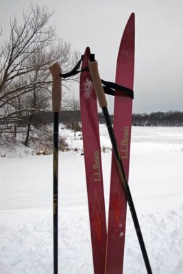 Great Day Cross Country Skiing