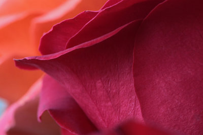 g3/98/25598/3/122341078.WT5KQ0tr.jpg