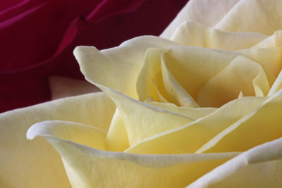 g3/98/25598/3/122341080.dQWoGLoq.jpg