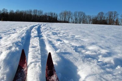 Out Skiing - Cross Country Ski Vista