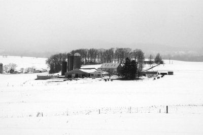 The Bleakness of Winter 2010