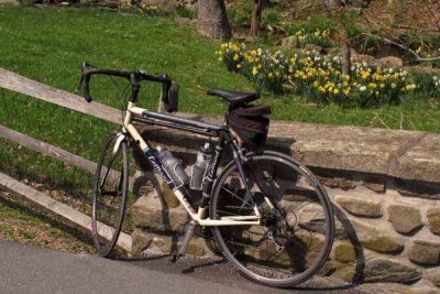 Dafodil Bike Rest Stop