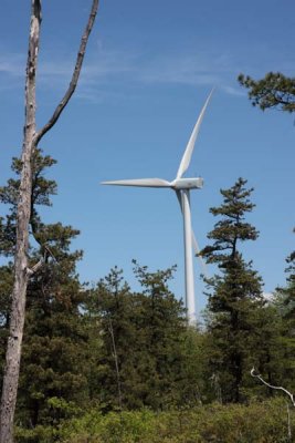 Locust Ridge II Wind Power Facility (51)