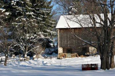 Farm in Winter