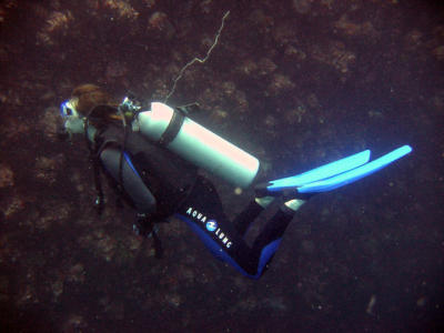 Thailand Diving H041.jpg