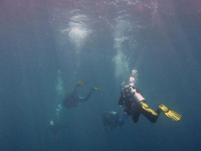Thailand Diving H079.jpg