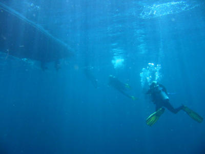 Thailand Diving H080.jpg