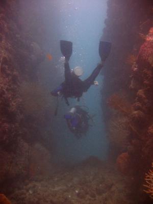Thailand Diving V024.jpg