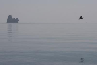 Thailand Surf014.jpg
