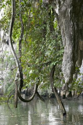 Thailand Surf114.jpg
