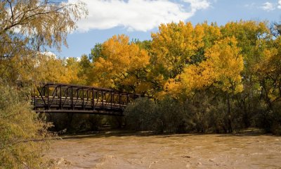 056 River, bridge, yellow trees_8077Cr2Lce7`0610071147.jpg