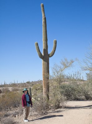 016_Dee and tall saguaro__7121`1001141129.jpg