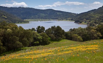 026_Goldfields, Poppies, lake beyond__8452`1003291343.jpg