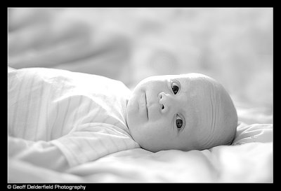 _MG_3718BW.jpg