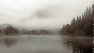 Morning Fishing