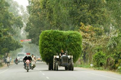 2 way traffic on road from Amritsar to Haridwar.jpg