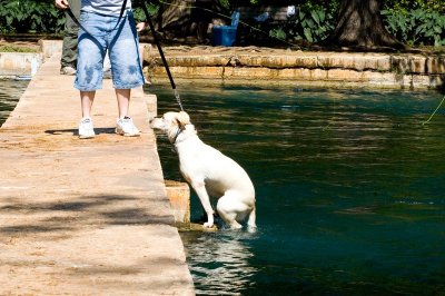 River pollution