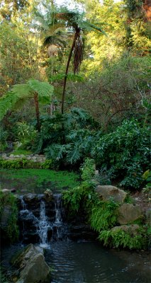 Fern Dell