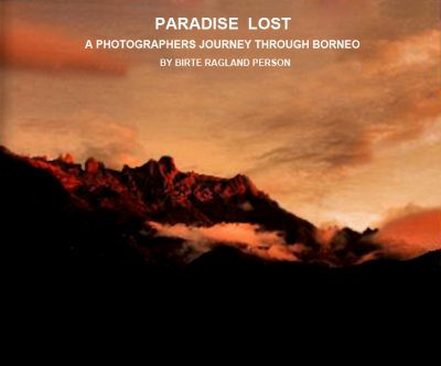 BOOK PARADISE LOST 1.jpg