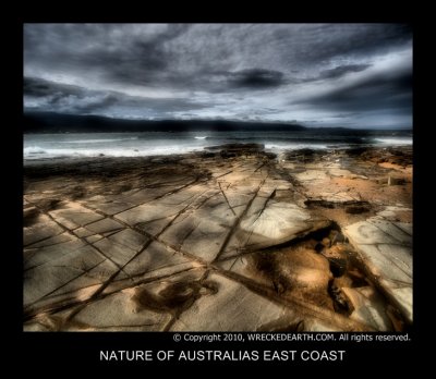NATURE OF AUSTRALIAS EAST COAST 1.jpg