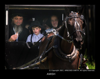 AMISH.jpg