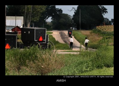 AMISH.JPG