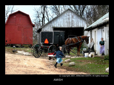 AMISH.JPG