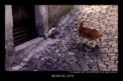 Medieval cats.jpg