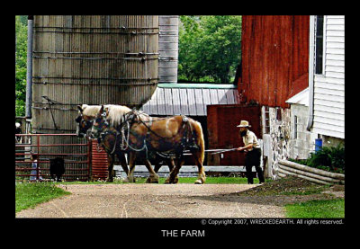 THE FARM.jpg