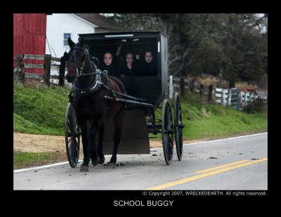SCHOOL BUGGY.JPG