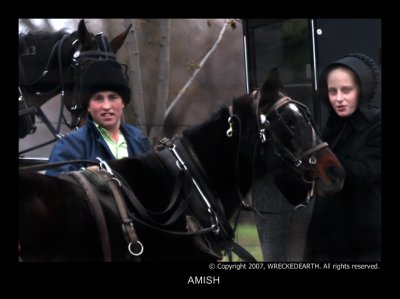 AMISH.JPG