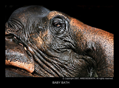 BABY BATH.jpg