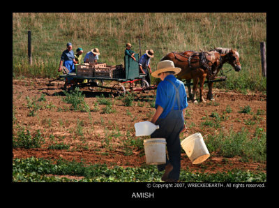 AMISH.jpg
