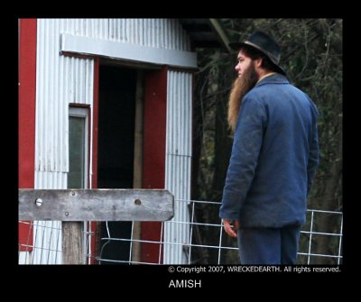AMISH2.jpg