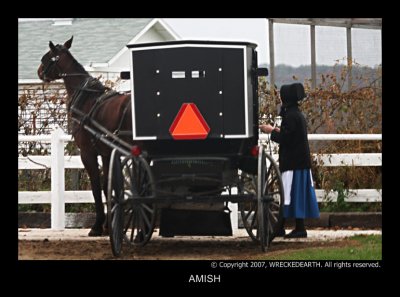 AMISH1.jpg