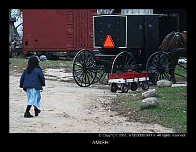 AMISH3.jpg