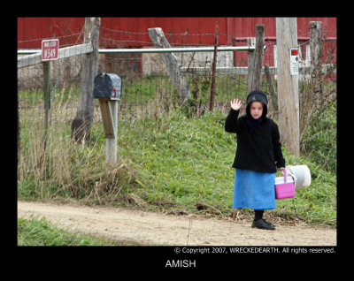 AMISH4.jpg
